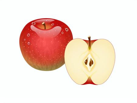 蜜入りりんごの断面 リンゴの断面図 蜜 みつ - No: 2985553写真素材なら「写真AC」無料 フリー ダウンロードOK