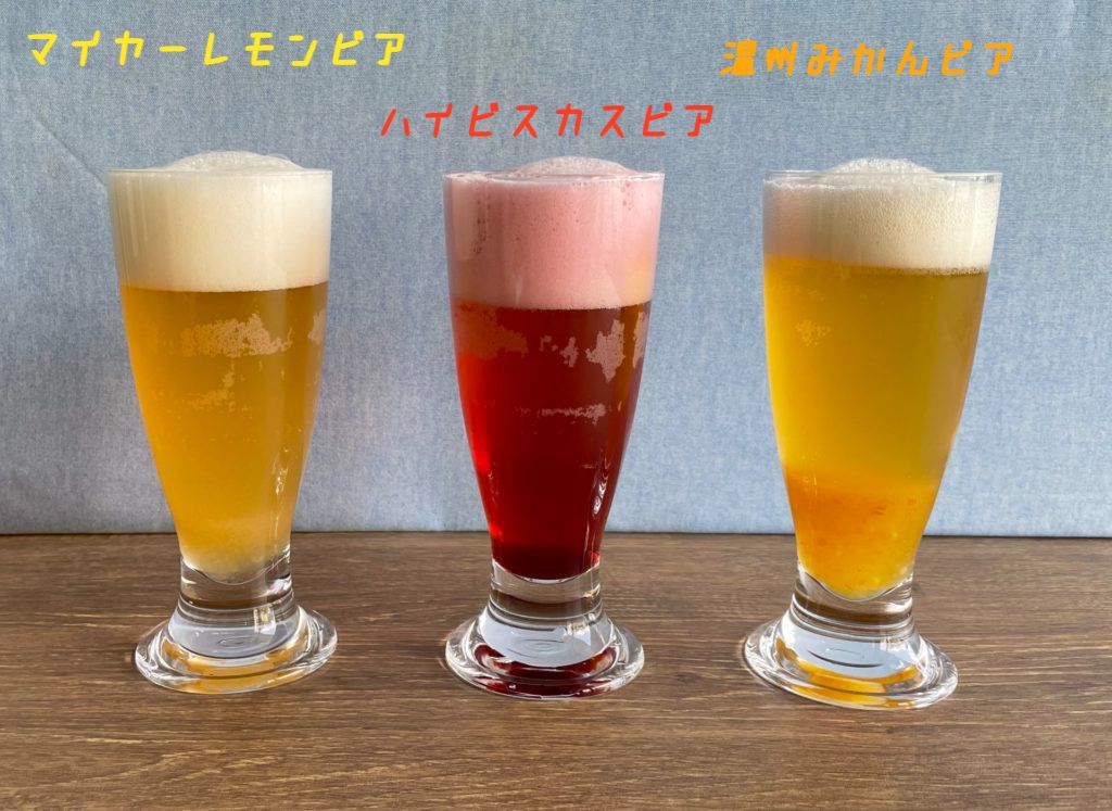 ハイビスカスビール Rosee d'HibiscusBrasserie Dieu du cielカリフォルニアの南のほうから〜オンタリオ湖畔から・第四章