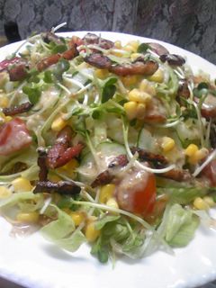 パリッサクッ 悪魔のサラダクラシル