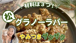 VOYAGER BREWING Co.GRANOLA BAR グラノーラバー 48個入