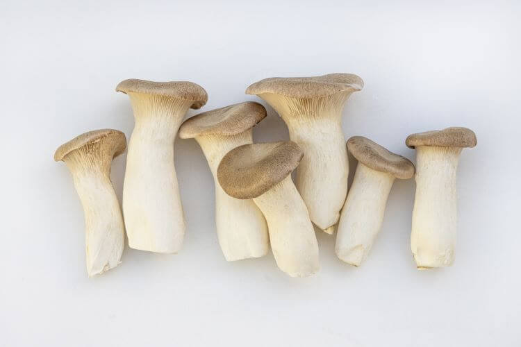 白いキノコの水炊き 豆乳鍋 〆の鍋カルボナーラ