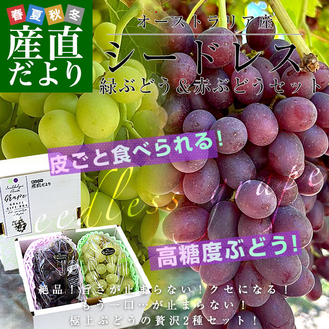 ぶどうの品種を専門家が解説 シャインマスカットの次世代などおすすめ品種 - ソレドコ