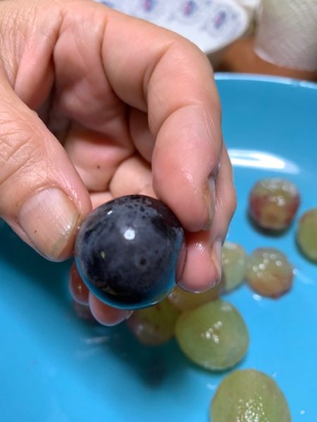 楽天市場 フルベジ ぶどうの皮むき日本製 食べやすい ぶどう 巨峰大粒 小粒 使い分け 皮むき アイデアフルーツ フルーツサンド ケーキデザートトッピング 手作り スイーツ 果物お菓子作り 下村工業 : エルルショップ