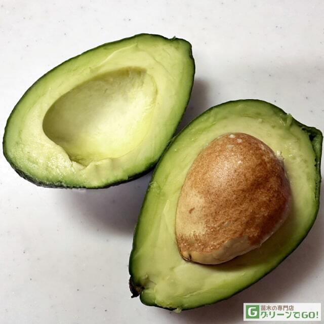 99%が輸入のアボカド。生産量日本一を目指す愛媛県松山市で、第１回「日本アボカドサミット」開催「colocalコロカル」ローカルを学ぶ・暮らす・旅する