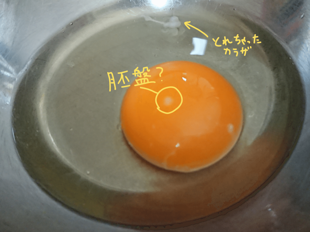 卵の殻や黄身の色に違いがあるのはなぜ？色が濃いほどおいしいの？PREZO プレゾ- 北海道のお取り寄せグルメと産直通販