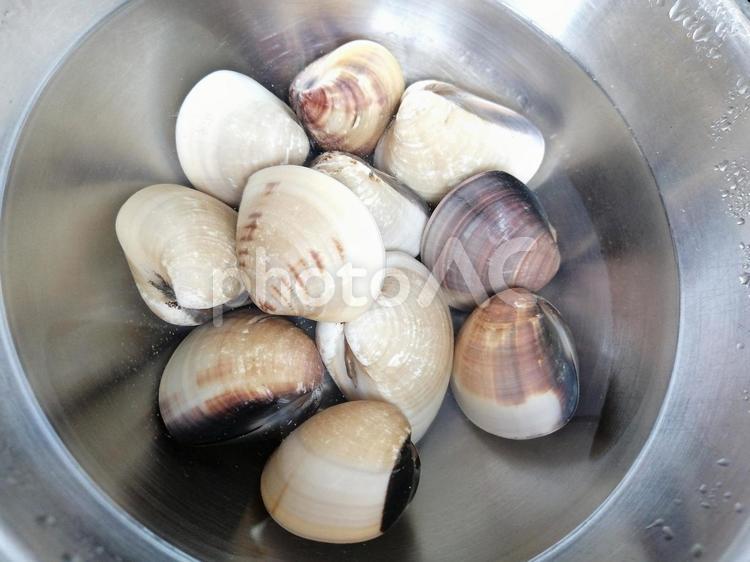 はまぐり」は鉄分やミネラルが豊富！栄養情報＆砂抜きの方法も伝授しますkufura クフラ 小学館公式