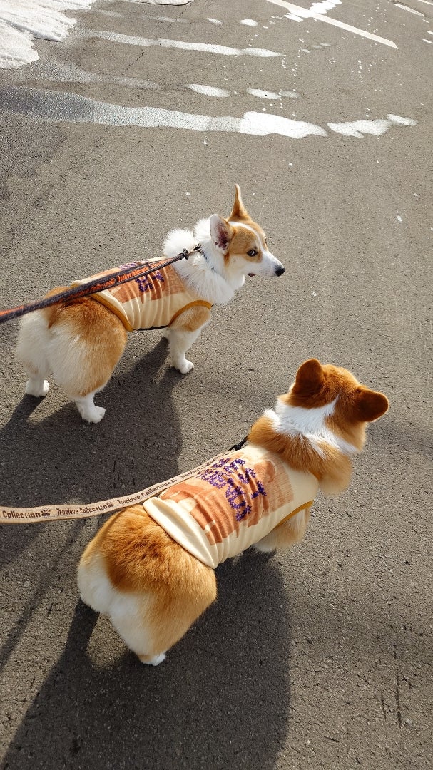 食パン一斤スタンプ - LINE スタンプLINE STORE
