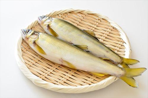 グリルで本格的！鮎の塩焼きの作り方♪ 下処理のポイント くぅのおうち居酒屋