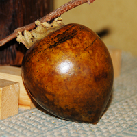 美味しい柿の見分け方は!? 柿の6品種を食べ比べTBSラジオ