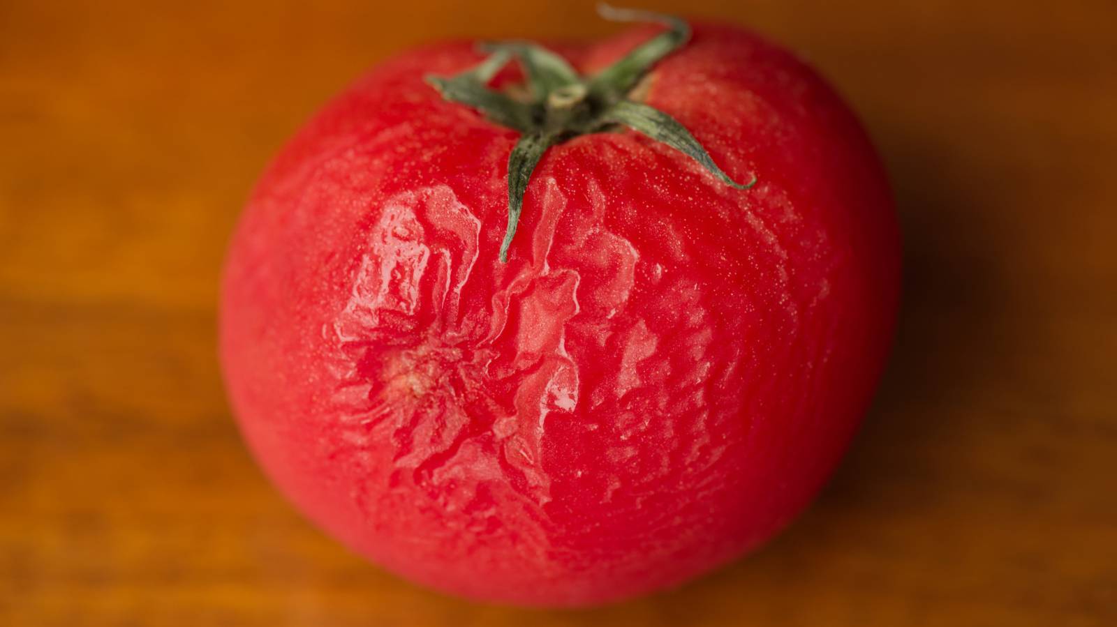 白い背景に腐った腐ったトマト分離Premium写真