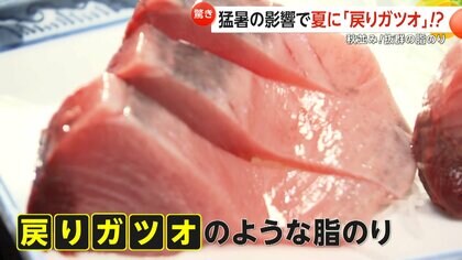 ブリの見分け方 脂の乗りは皮の色でわかる - ウェザーニュース