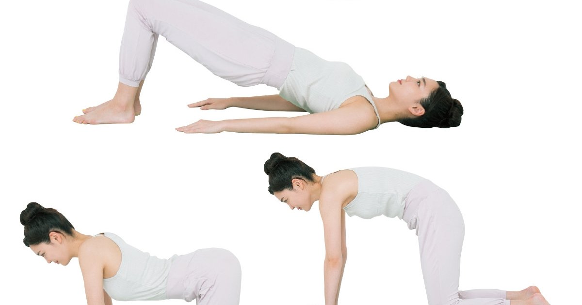 体質別ダイエット りんご型の方はこれをすれば簡単に痩せる☆ - YouTube