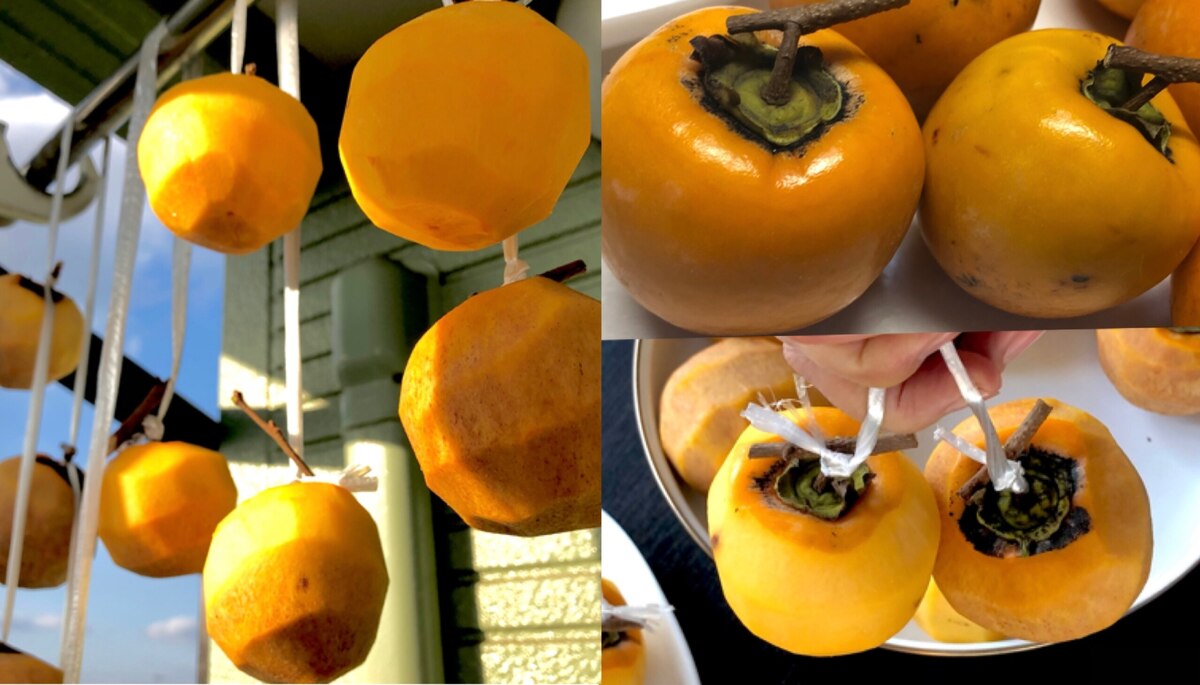 絶対カビない！干し柿の作り方今日より明日は、少し良い