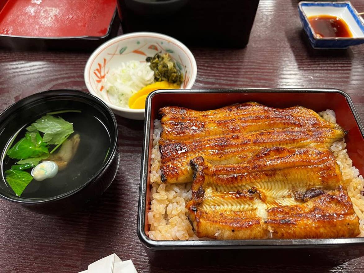 夏本番に負けない！仙台の絶品「うなぎ料理」6選日刊せんだいタウン情報S-style Web