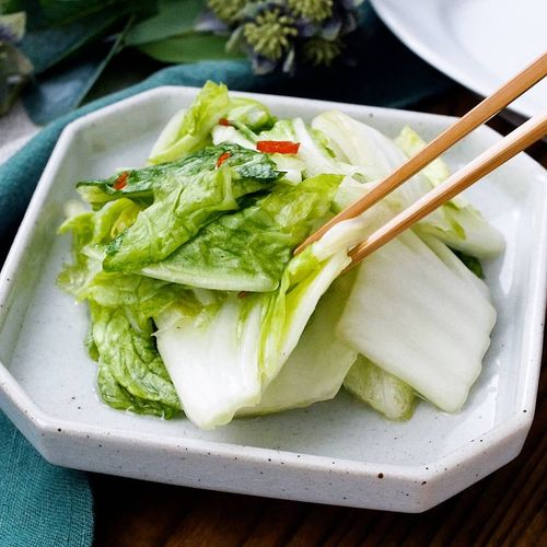 基本からアレンジまで！思わずつくりたくなる「白菜漬物 白だし」のレシピ集クックパッド