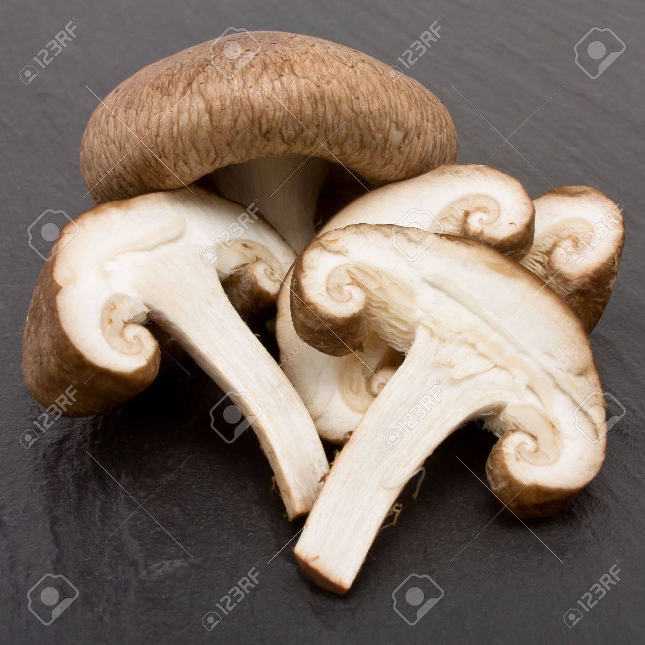 すっぱいシイタケには要注意！食あたりを防ぐために確認すべきポイントきのこ通信国産きくらげ・しいたけ専門店Gaspoショップきのこ家