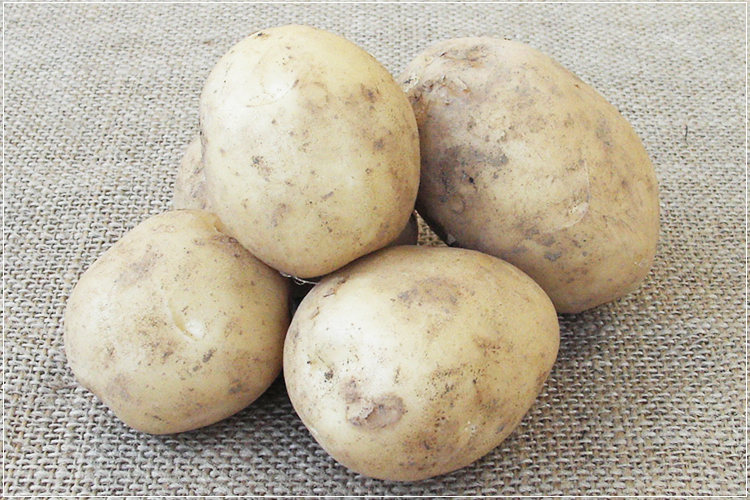 お野菜たっぷり ジャガイモのガレットピザ