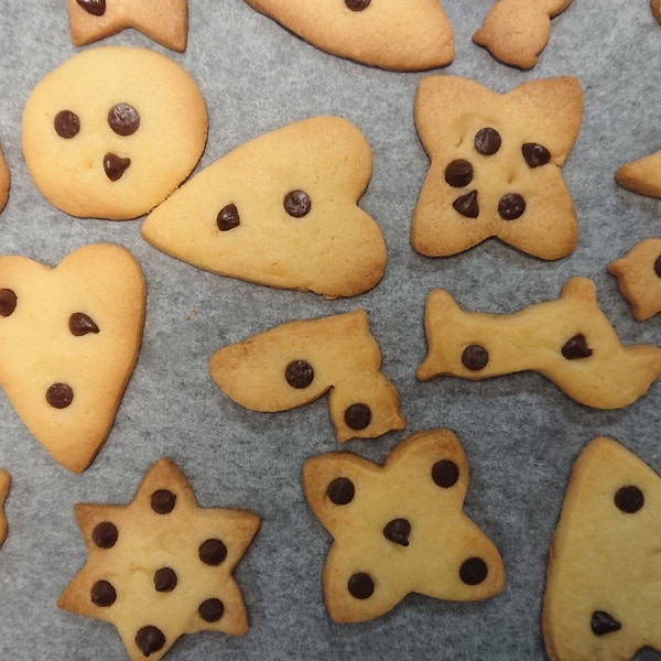 ドロップチョコチップクッキー❁レシピ小麦粉だいすき