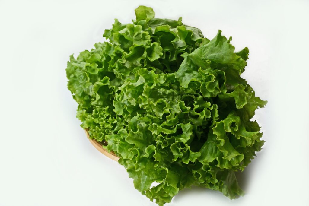 家庭菜園春に植えるおすすめ野菜38選栽培のコツや注意点を紹介植物とあなたをつなぐPlantia