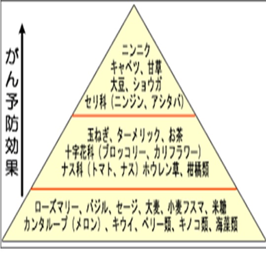 地中海食の魅力研究開発日清製粉グループ