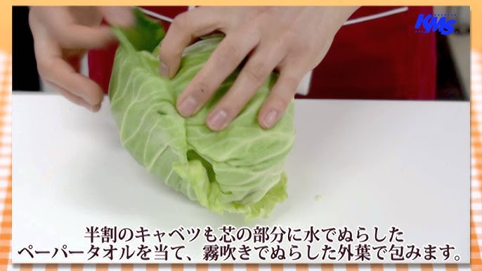 キャベツ ひと手間で１ヵ月も長持ち！キャベツがより長持ちする保存方法 簡単レシピ付きヨガジャーナルオンライン