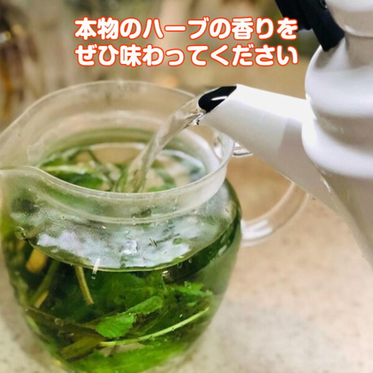 美食家のパセリ？ チャービル とは？味や特徴、料理に使い方について解説！クラシル