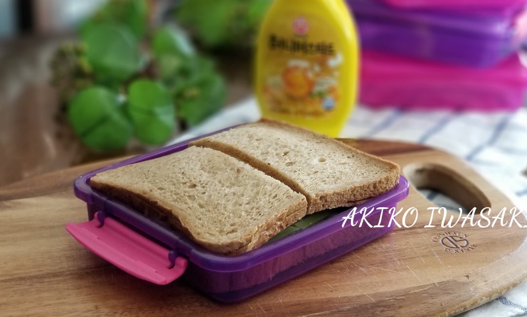 サンドイッチケース人気おすすめ10選！お花見やピクニックで活躍！折りたたみもマイナビおすすめナビ