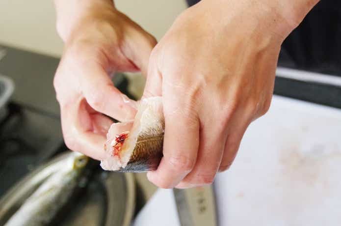 MSC認証 MSC認証 脂がのったにしんのトマトソース -イオンのプライベートブランド TOPVALU トップバリュ-イオンのプライベートブランド TOPVALU トップバリュ