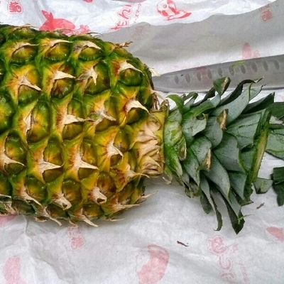 パイナップルの切り方 ボートカット バスケットカット野菜と果物事典Salute Kitchen Supported by Funasho