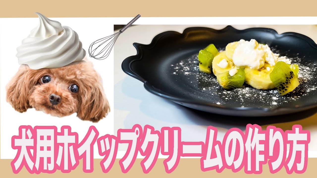 ペットケーキ 犬用 誕生日 ケーキ ミニチュアダックス立体顔ケーキ 選べるクリーム約12センチ, 豆乳クリーム パープル楽天市場 ワンコケーキ *フルーツデコレーションケーキ*Ｓ 犬用ケーキ・犬ケーキ・誕生日: アトリエ ワフ