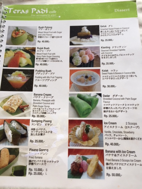 バリ島旅行記 テガララン・ライステラス2023年８月中旬 はちまる