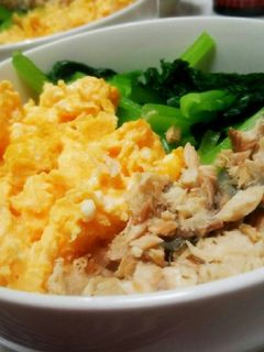 子どもがよろこぶ！ 鶏そぼろと卵の三色丼 1歳6ヶ月頃から おとな管理栄養士監修トモニテ