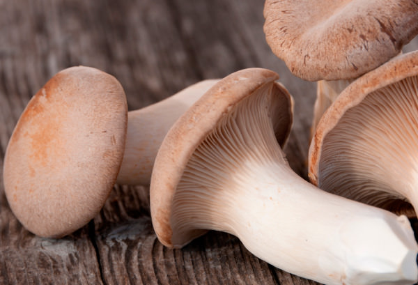 ホンシメジ - Wikipedia