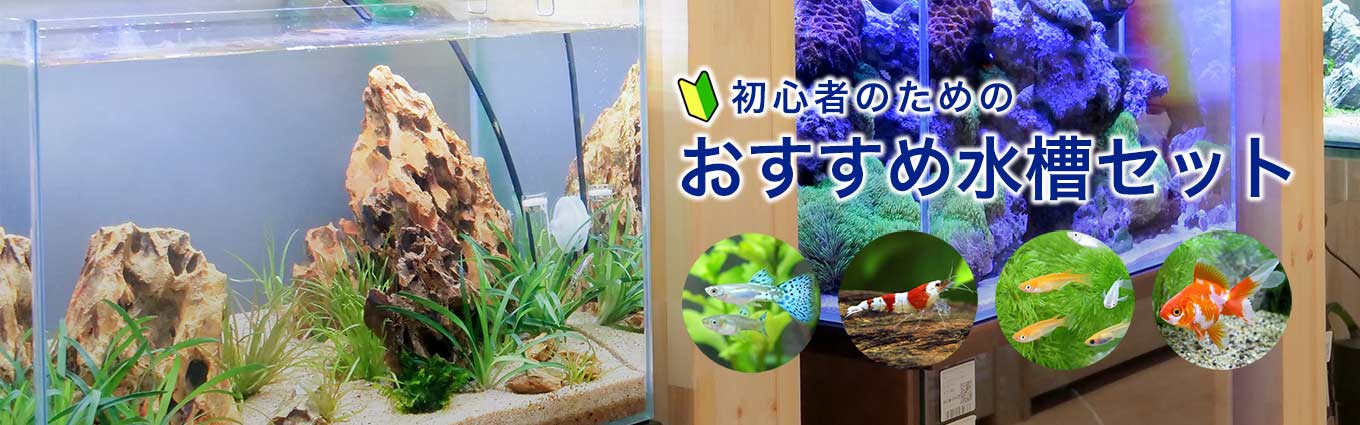 スタッフおすすめ！ テトラTetraテトラ サイレントフレックスセット 30 ガラス 水槽 アクアリウム 熱帯魚 メダカ 金魚 その他 魚 金魚水槽 セット」の人気商品一覧安い商品を通販サイトから探す - 価格.com