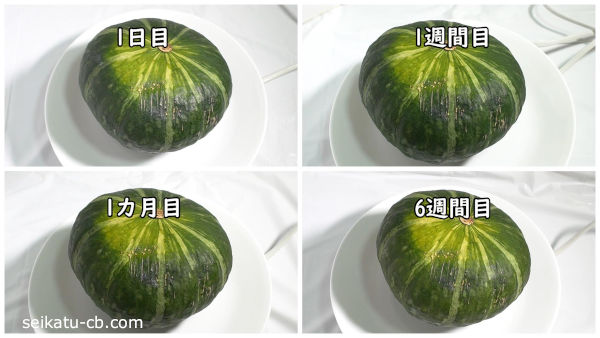 カボチャにカビ発生！取り除いて食べても大丈夫！？リスクと正しい保存方法を解説