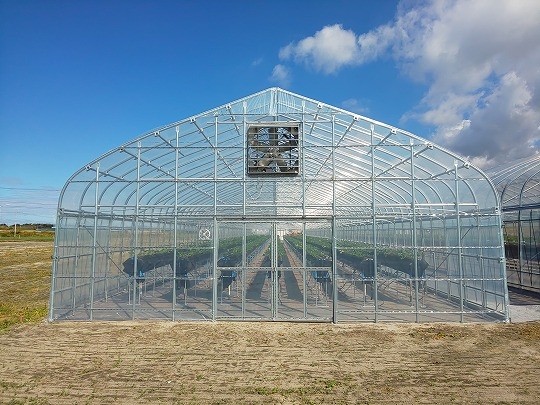 ビニールハウスについて農業資材通販ショップみらい蔵.com 農業や作物のお悩みは農業資材通販ショップみらい蔵.comへ