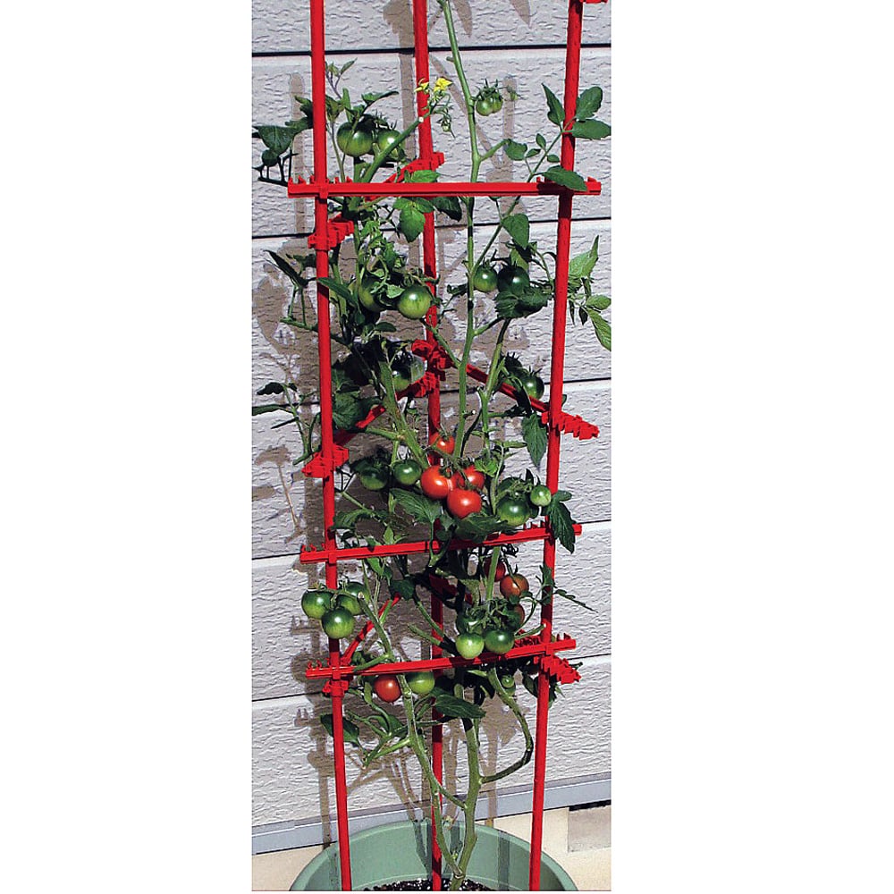 トマトタワーの作り方 2022 - とっ散らかった小さな裏庭