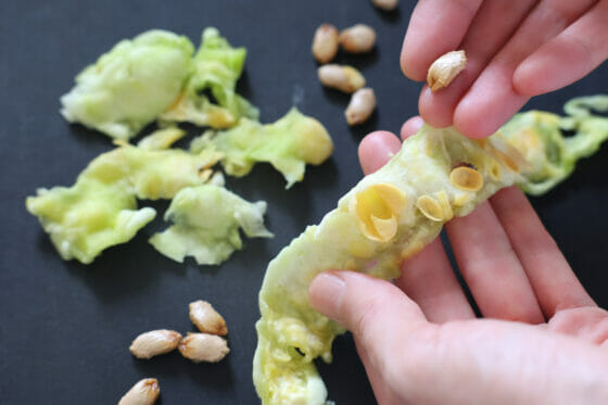 ゴーヤのワタの取り方