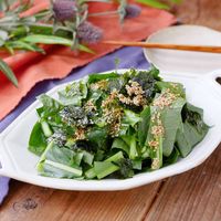 チョレギサラダ」30選箸が止まらない♪レシピサイトNadia