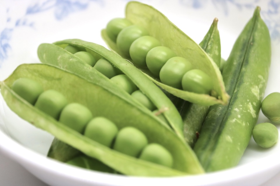 旬のお豆が主役！ グリーンピース・スナップえんどう・そら豆 のアレンジレシピキナリノ