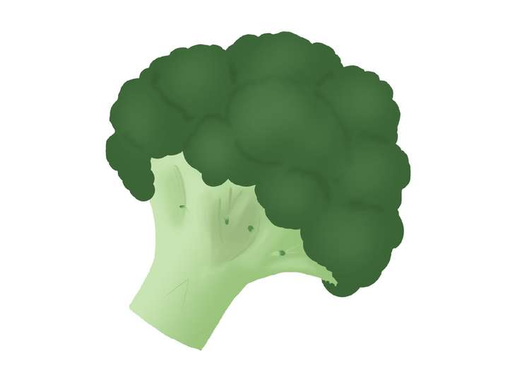 相葉マナブ ブロッコリーのガレット風のレシピ！ブロッコリーアレンジレシピ