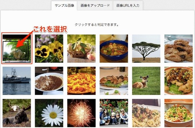 IMD 食事記録と分析ソリューションズ