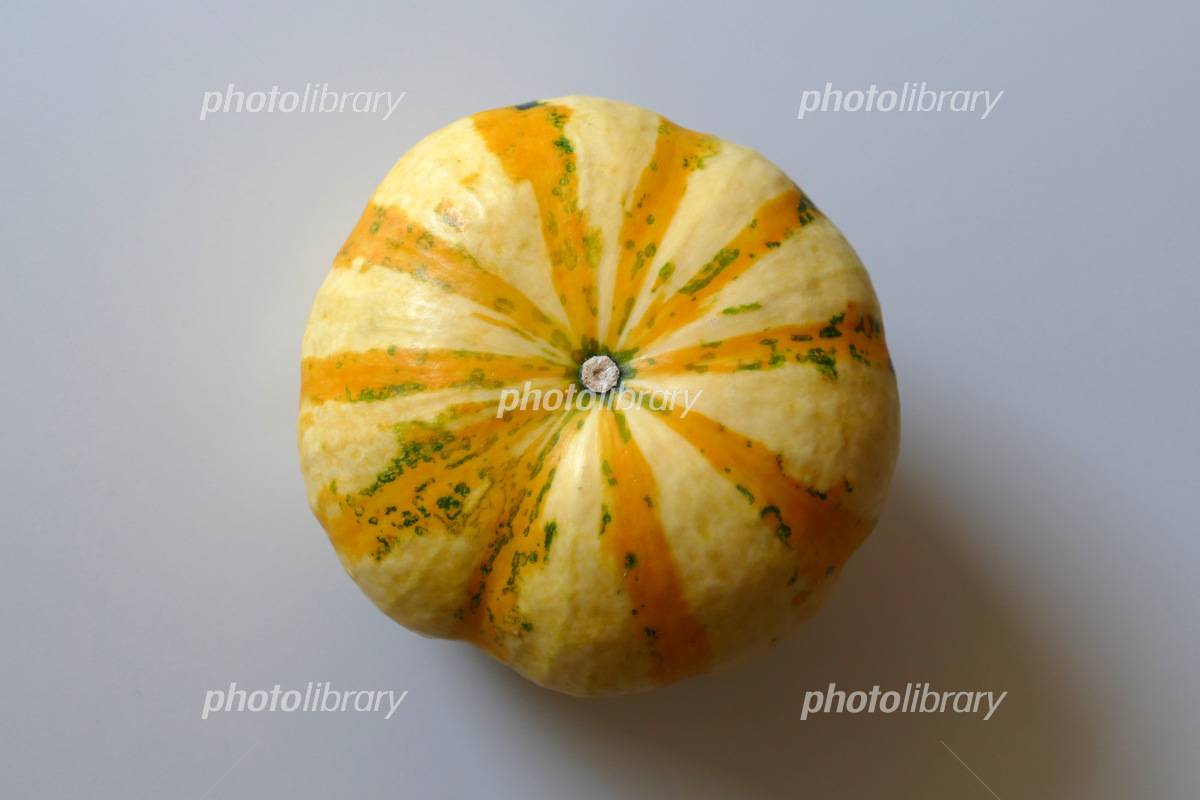 カボチャの実が黄色くなって枯れる : r gardening