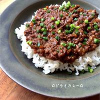 簡単で本格的なキーマカレーの作り方