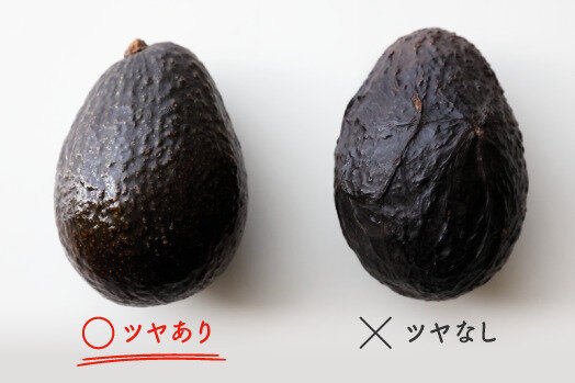 アボカド徹底ガイド 選び方・保存方法・食べ頃の見分け方まで！森のバターをもっと楽しむ青空市場