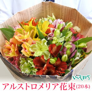 農家 スターチスパープル 生花 紫 花 30本 約40センチ~50センチ 農家 スターチスパープル 生花 紫 花 30本 約40センチ~50センチドライフラワー好きの方におすすめ仏花としても スターチス 紫色 15本 ～20本：北海道産のその他草花食べチョク産地直送 産直 お