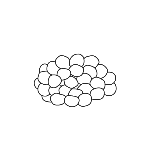 24,900点を超えるグリーンピースのイラスト素材、ロイヤリティフリーのベクター素材グラフィックスとクリップアート - iStock傘, 野菜,筍