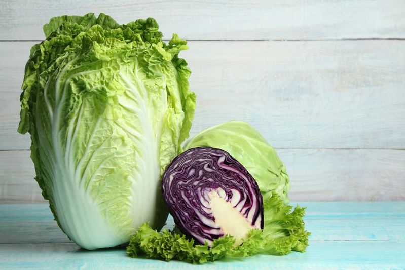 冬の葉物野菜がおいしい！紫小松菜、紫水菜などアントシアニン豊富な紫色の野菜がおすすめです～！BS：バイヤーセレクション