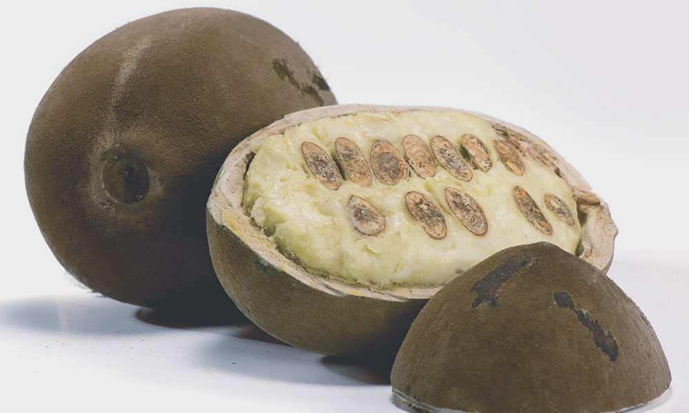 Do Rancho クプアス パルプ 400g１袋 100gx4冷凍 – MAHALOH