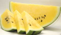 スイカの写真素材写真素材なら「写真AC」無料 フリー ダウンロードOK